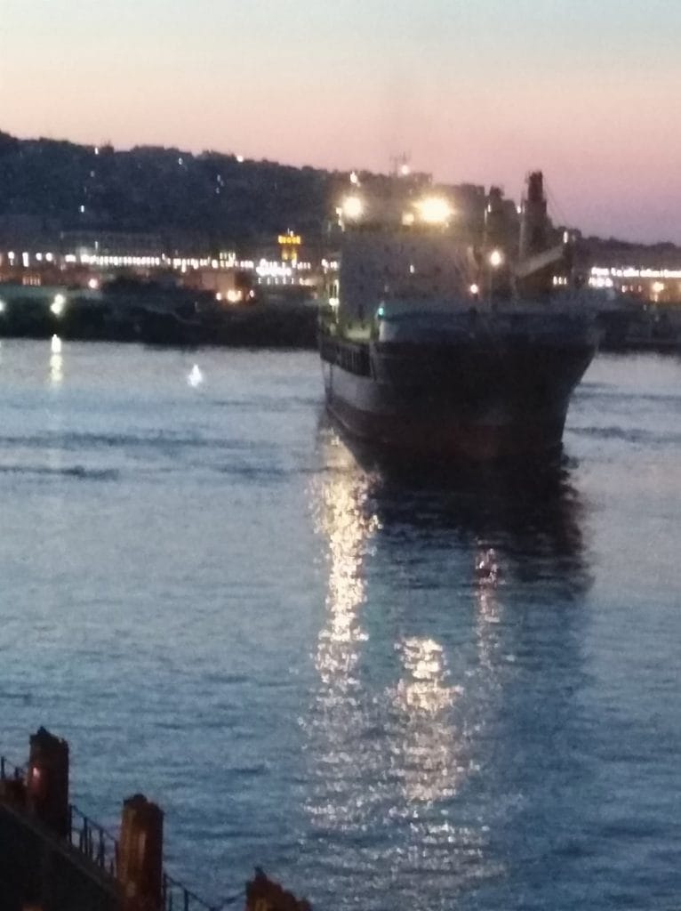 Ship near miss report