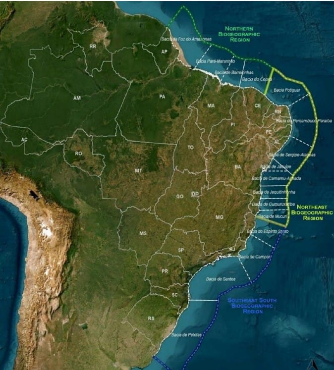Brazil’s mandatory biofouling management requirements for all vessels arriving in Brazilian waters